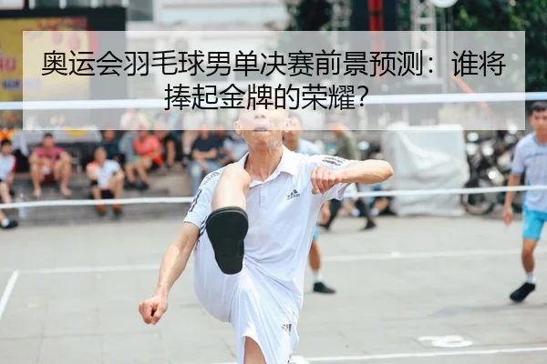 奥运会羽毛球男单决赛前景预测：谁将捧起金牌的荣耀？