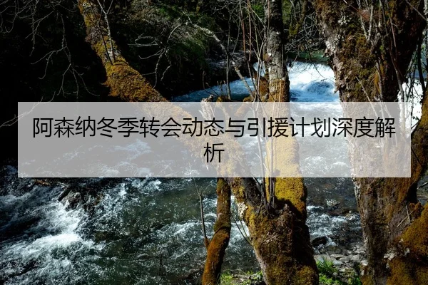 阿森纳冬季转会动态与引援计划深度解析
